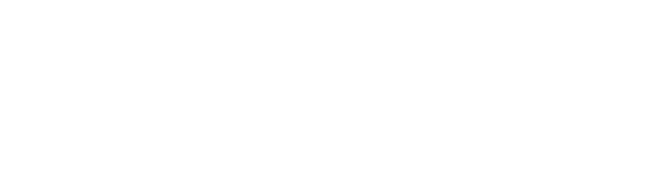 Hoan Vu Logo